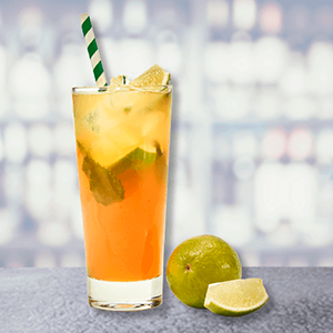 PASSION FRUIT MOJITO